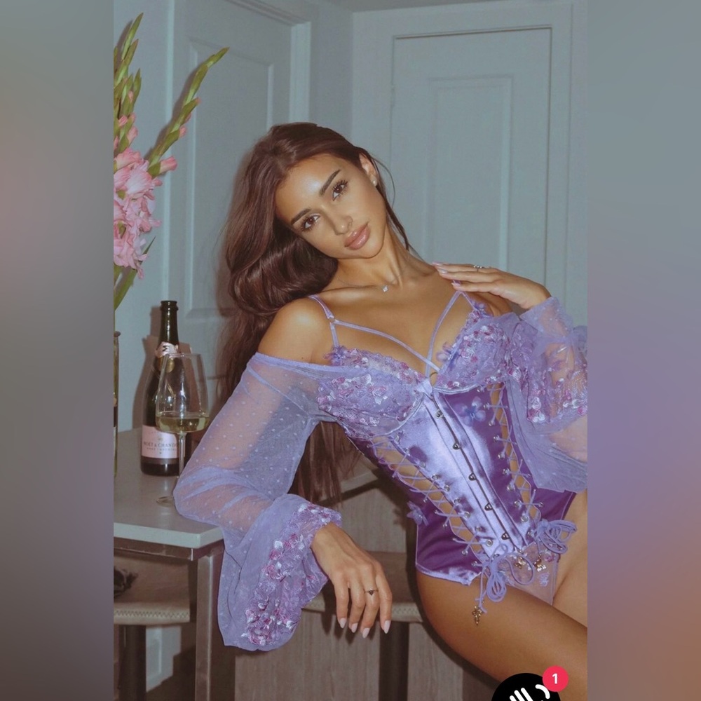 Lavender Lace Corset Lingerie